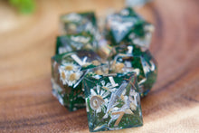 Load image into Gallery viewer, PREORDER Warriors Lost Through Time Dice Set