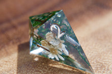 Load image into Gallery viewer, PREORDER Warriors Lost Through Time Dice Set