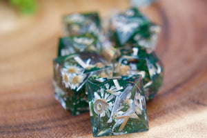 PREORDER Warriors Lost Through Time Dice Set