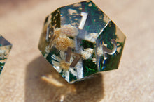 Load image into Gallery viewer, PREORDER Warriors Lost Through Time Dice Set
